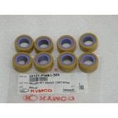 ROLLER COMP WEIGHT ( ALWAYS 8 PCS. )